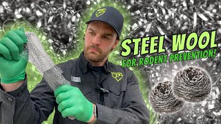 Keep Mice Out With This TrickSteel Wool [upl. by Warchaw56]