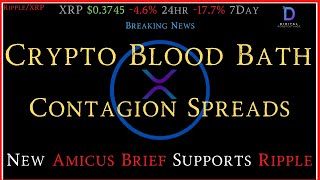 RippleXRPCrypto Contagion Spreads SECFTX Deep TiesCorruption New Amicus Brief Supports Ripple [upl. by Sverre715]