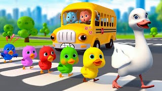 Wheels On The Bus Animal Song For Toddlers  More Nursery Rhymes amp Kids Songs  Baby SumoCoco [upl. by Eldred870]