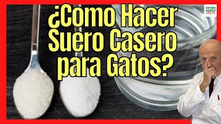 🐱 ¿CÓMO DAR Y HACER UN SUERO CASERO ORAL PARA GATOS DESHIDRATADOS 🐱 [upl. by Myrtie]