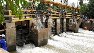 Amazing Khmer Real Life Fishing At Banteay Meanchey In Cambodia [upl. by Okoyik748]