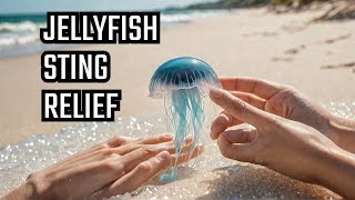 I Tried Every Jellyfish amp Bluebottle Sting Treatment [upl. by Yrebmik]