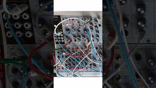 BuchlAnalord stazma synth eurorack [upl. by Dlanger]