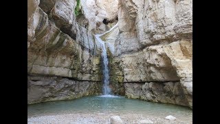 Ein Gedi עֵין גֶּדִיعين جدي‎ an oasis in Israel 1422014 [upl. by Iht]