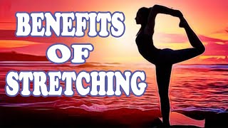 Yoga Full Body Stretch for Beginners  Daily Yoga Stretches For Easy Flexibility  Yoga Is Life [upl. by Ramedlaw]