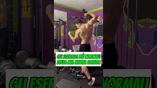 Nuovi esercizi bodybuilding [upl. by Nnylylloh]