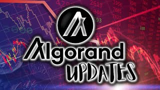 What Happens To ALGORAND ALGO After Breaking MASSIVE Support Level [upl. by May920]