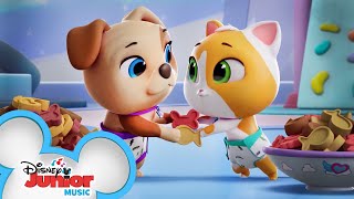 Sometimes Its More Fun to Share  Music Video  TOTS Disney Junior [upl. by Eimilb214]