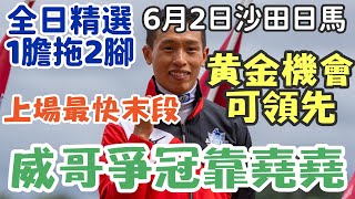 賽馬貼士6月2日星期日沙田日馬，威哥爭冠靠堯堯，黃金機會可領先，上場最快末段，全日精選1膽拖2腳，多謝支持訂閱。 [upl. by Macmillan773]