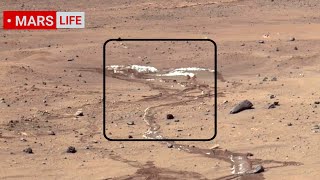 NASA Mars Rover Sent Super Incredible Footage of Mars Perseverance and Curiosity Rover Mars in 4K [upl. by Harden]