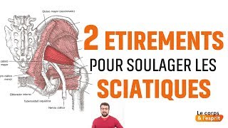 LES SCIATIQUES  Douleurs Bas du Dos Causes  Episode 7bis [upl. by Enilhtak]