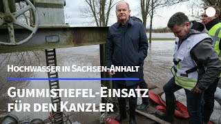 GummistiefelEinsatz Scholz besucht Hochwassergebiet in SachsenAnhalt  AFP [upl. by Nosirrag]