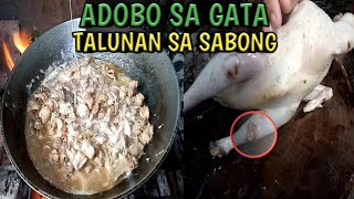 Manok na talunan  Adobo Sa Gata recipe [upl. by Tut]