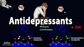 Pharmacology  Antidepressants Animation [upl. by Mcclish243]