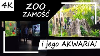 ZOO Zamość i jego AKWARIA 4K [upl. by Arracot652]