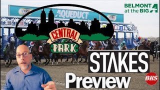 Aqueduct Racing  Central Park Stakes Preview [upl. by Ecam909]