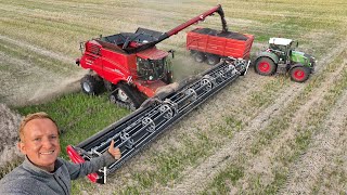 Høsten 2024  Case IH 9260 AxialFlow amp 50 fods MacDon skærebord høster raps  Dansk Høst 2024 [upl. by Gilson29]