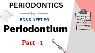 Periodontium Easy Dentistry  Lecture 1  Teethopedia [upl. by Strenta]