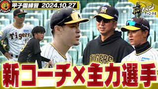 【新コーチ指導】今日も甲子園で体動かす藤川阪神。新コーチも精力的に指導！主力選手も笑顔で汗流してます！阪神タイガース密着！応援番組「虎バン」ABCテレビ公式チャンネル [upl. by Eihtak205]