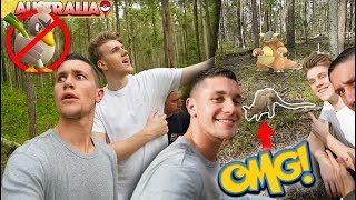 WE FOUND A KANGASKHAN IN REAL LIFE  FARFETCHD IS GONE sad face [upl. by Aremus]