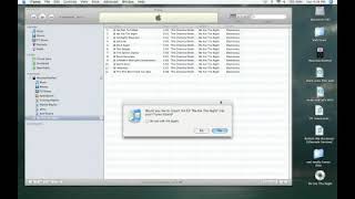 How to Add Songs From a CD to iTunes [upl. by Anyar401]