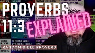 Proverbs 113  EXPLAINED  Proverbs Explained Verse By Verse [upl. by Ahsam599]