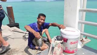 HD Phuket Rawai Pier 2023 Walking Tour Thailand  10 MINUTES OF [upl. by Nylyak]