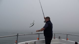 Bait Fishing for Mackerel at Whitby [upl. by Nednyl]