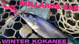 Bullards Bar Winter Kokanee [upl. by Ellennaj]