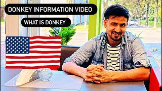 Donkey Information Video  What is donkey  donkey poland europe [upl. by Viking]