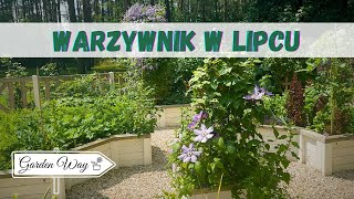 Przegląd warzywnika  grządki podwyższone Co sieję co zbieram co likwiduję [upl. by Amarette]