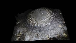 Close Up Placoderm Armor Middle Devonian [upl. by Irod]