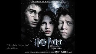 quotThe Beautiful Music of the Harry Potter Seriesquot [upl. by Ahselet]