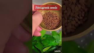 fenugreek hair growth toner🌺 haircare longhair hair hairoil viral trending foryou viral [upl. by Holofernes172]