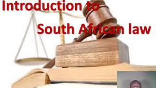 Introduction to South African Law Philani Lithandane Ndlovu [upl. by Namso890]