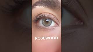 Embrace the warmth of natural beauty with Rosewood Daily contact lenses bellacontactlensesusa eyes [upl. by Karim562]