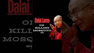 Dalai Lama On Killing [upl. by Nawk]