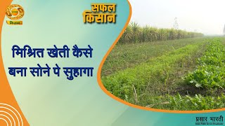 Safal Kisan  सफल किसान  मिश्रित खेती कैसे बना सोने पे सुहागा  DD Kisan  20 Nov 2024 [upl. by Sej]