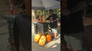 tualatin oregon Pumpkin regatta artist [upl. by Ecyle823]