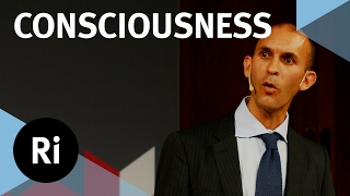 The Neuroscience of Consciousness – with Anil Seth [upl. by Weathers]