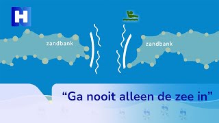 Zo neem je vandaag veilig een duik in de zee [upl. by Ariay]