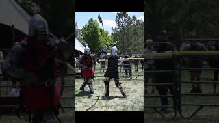 How is Halberd Fighting Not More Popular Knight  axemaster [upl. by Krefetz146]