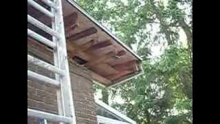 REPAIRING SOFFITS AND FASCIA [upl. by Enybor]