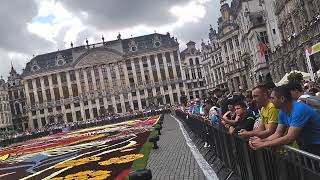 Flower Carpet Brussels Belgium Europe [upl. by Assennev]