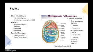 Microsporidia oral presentation [upl. by Landy]