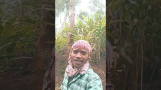 Jilipi saree shortsfeed nagpuri subscribe Amarjit Oram [upl. by Elstan]