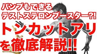 【トンカットアリ】パンプもできるテストステロンブースターを徹底解説 [upl. by Aros]