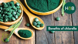 Benefits of Chlorella  Debunking Wellness  HampB [upl. by Nwonknu]