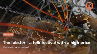 The lobster  a folk festival with a high price [upl. by Shermie]