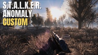 This Modpack is Peak Anomaly  Stalker Anomaly Custom [upl. by Maiocco946]